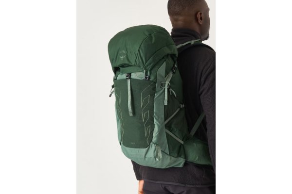 Osprey Talon 33 Backpack - Green Canopy/Pine Leaf