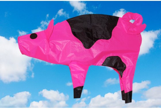 Flying Pig Windsock