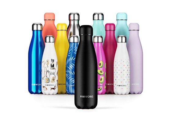 Proworks Performance Stainless Steel Sports Water Bottle | D