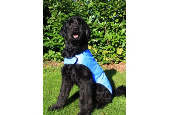 Prestige Cool Coat for Dogs, L, Blue