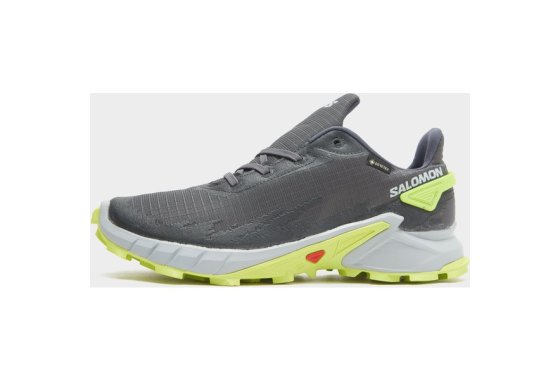 Salomon Men's Alphacross 4 Gore-Tex Trail Running Shoe, Grey