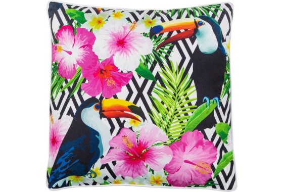 Premium Scatter Cushion in Toucan Print - Rattan Direct