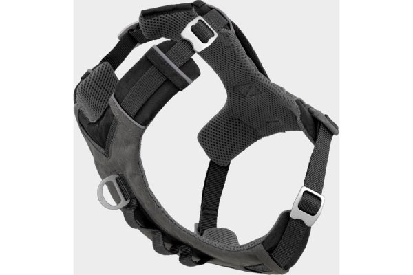 Journey Air Dog Harness -